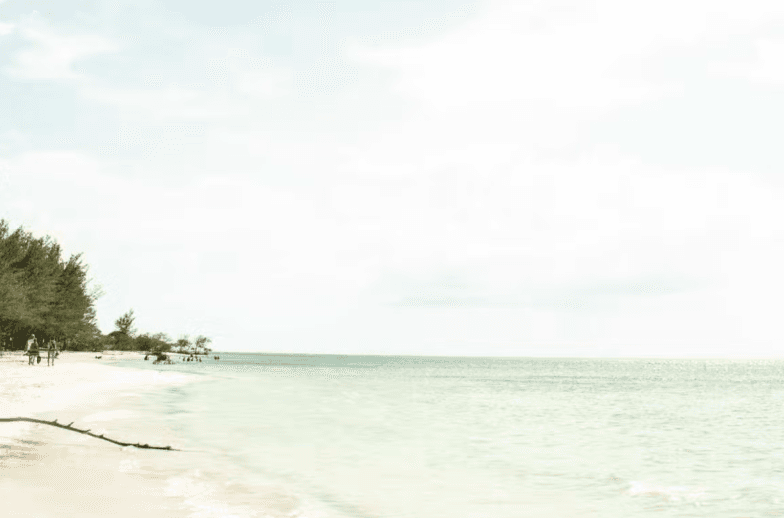 Trasferimento a Cayo Jutias - Photo 5 (Gallery view)