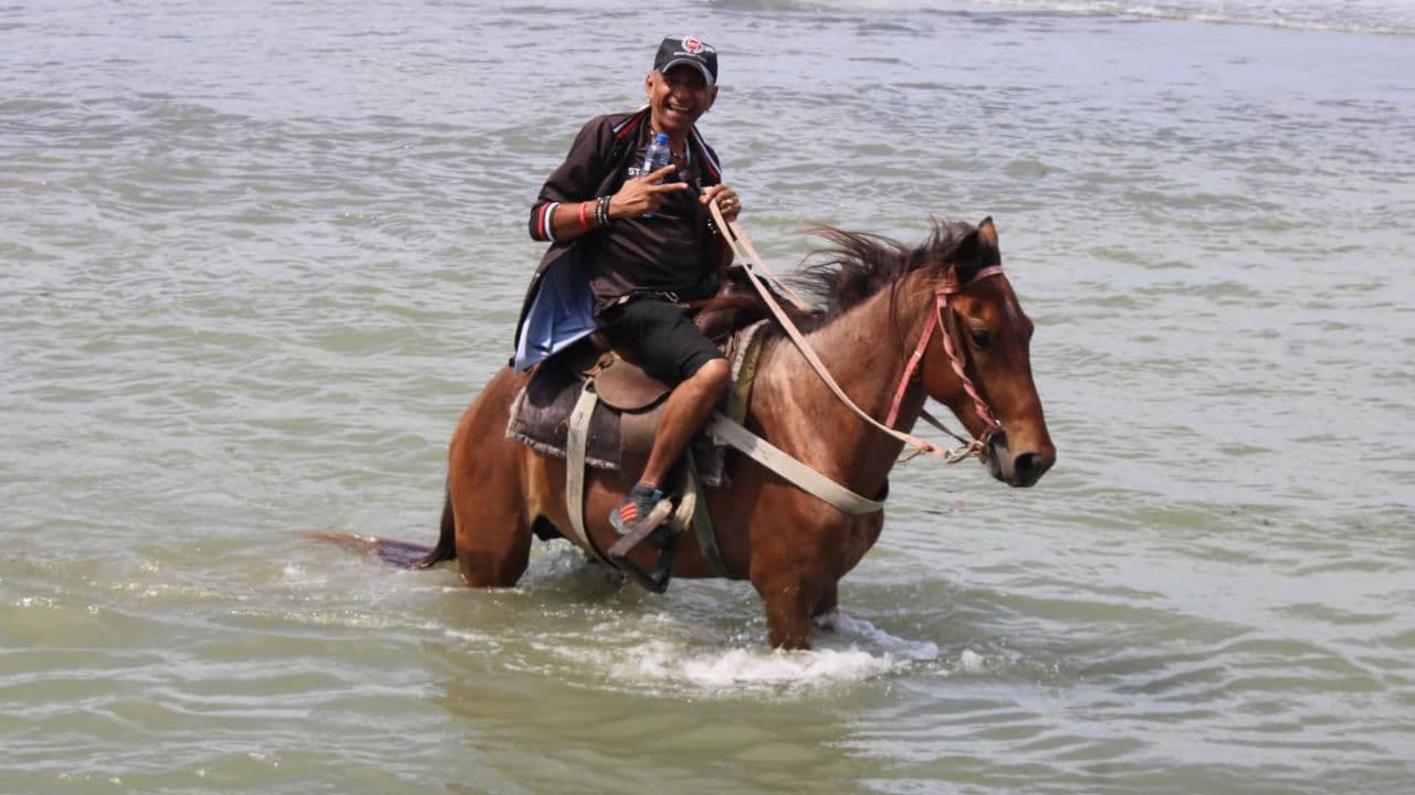 Reiten am Strand und in der Natur (Kopie) - Photo 2 (Gallery view)