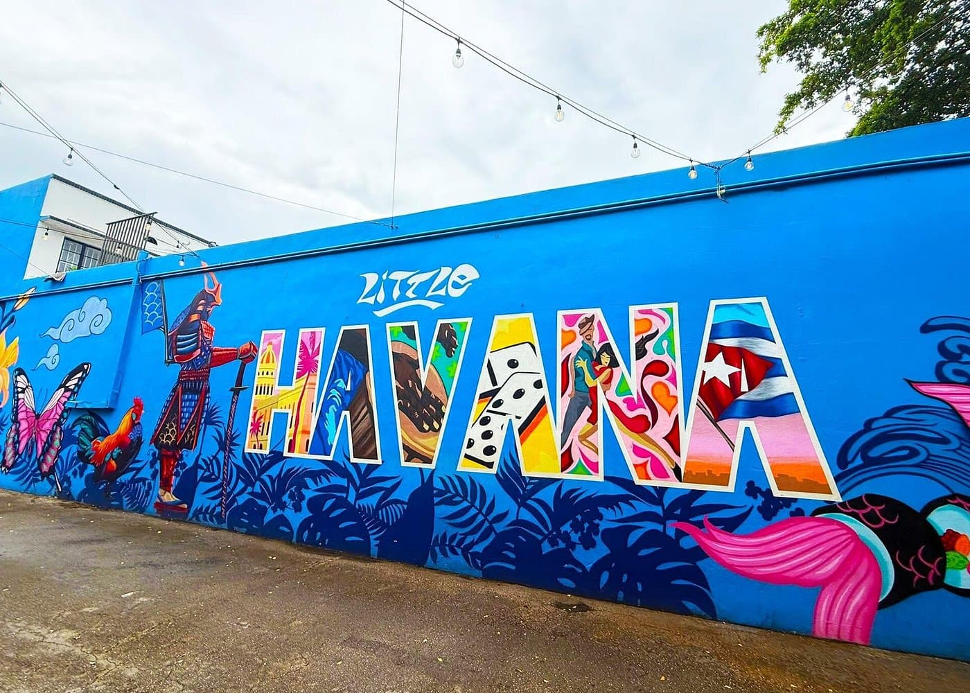 Little Havana Food & Culture Tour: A four-course culinary journey - Photo 5 (Gallery view)