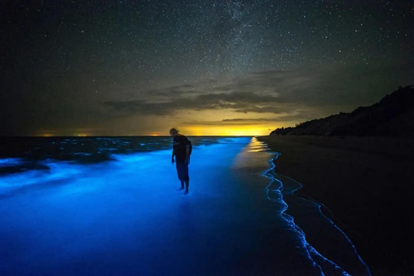 Bioluminescent Bay Adventure in Grand Cayman - Photo 3 (Gallery view)