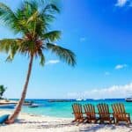 Tour to Saona Island by Catamaran with Lunch, Bar and Transportation Included - Photo 5 (Gallery view)