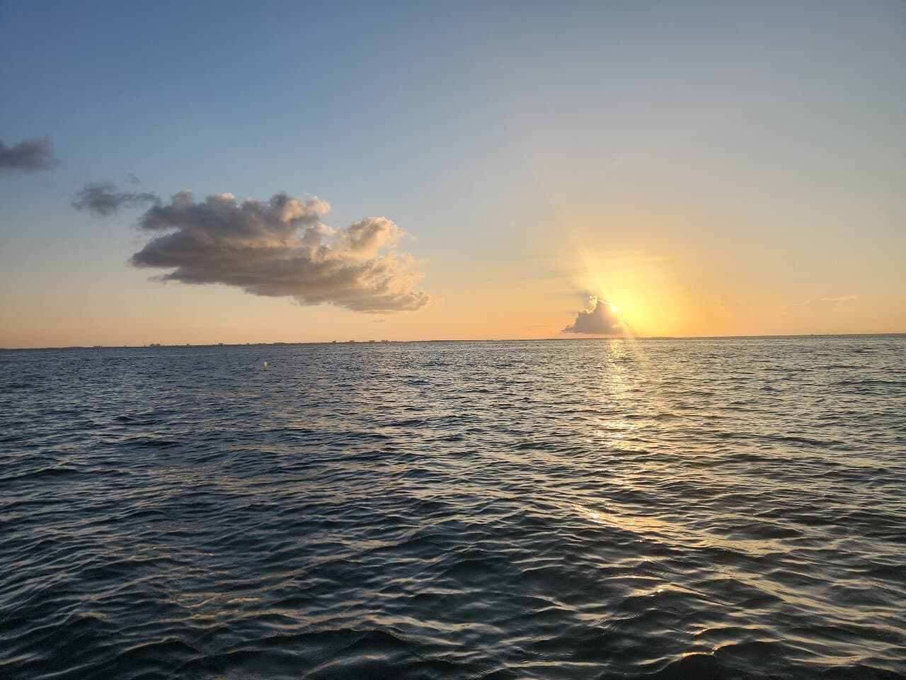 Private Boat Charter Experience in Bio Bay Cayman Island - Photo 3 (Gallery view)