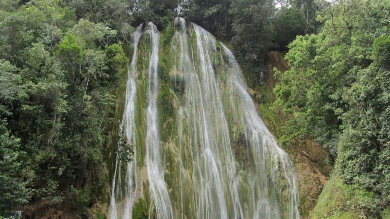 Punta Cana: Samana with Waterfall & Bacardi Island Day Trip - Photo 3 (Gallery view)