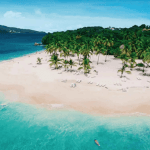 Punta Cana: Samaná Tour with Horse Ride, Cruise, and Lunch - Photo 4 (Gallery view)