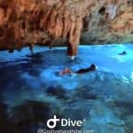 Bayahibe: Snorkeling Tour – Sea, Cotubanama park & Cenotes - Dominican Republic