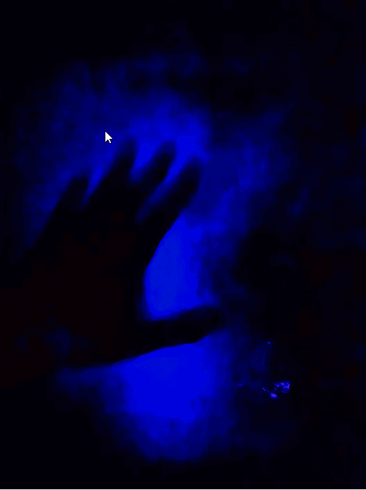 Vieques: Bioluminescent Bay Night Clear Kayak Tour - Photo 2 (Gallery view)