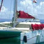 Catalina island snorkel with Food and drinks (Full Day) - Photo 5 (Gallery view)