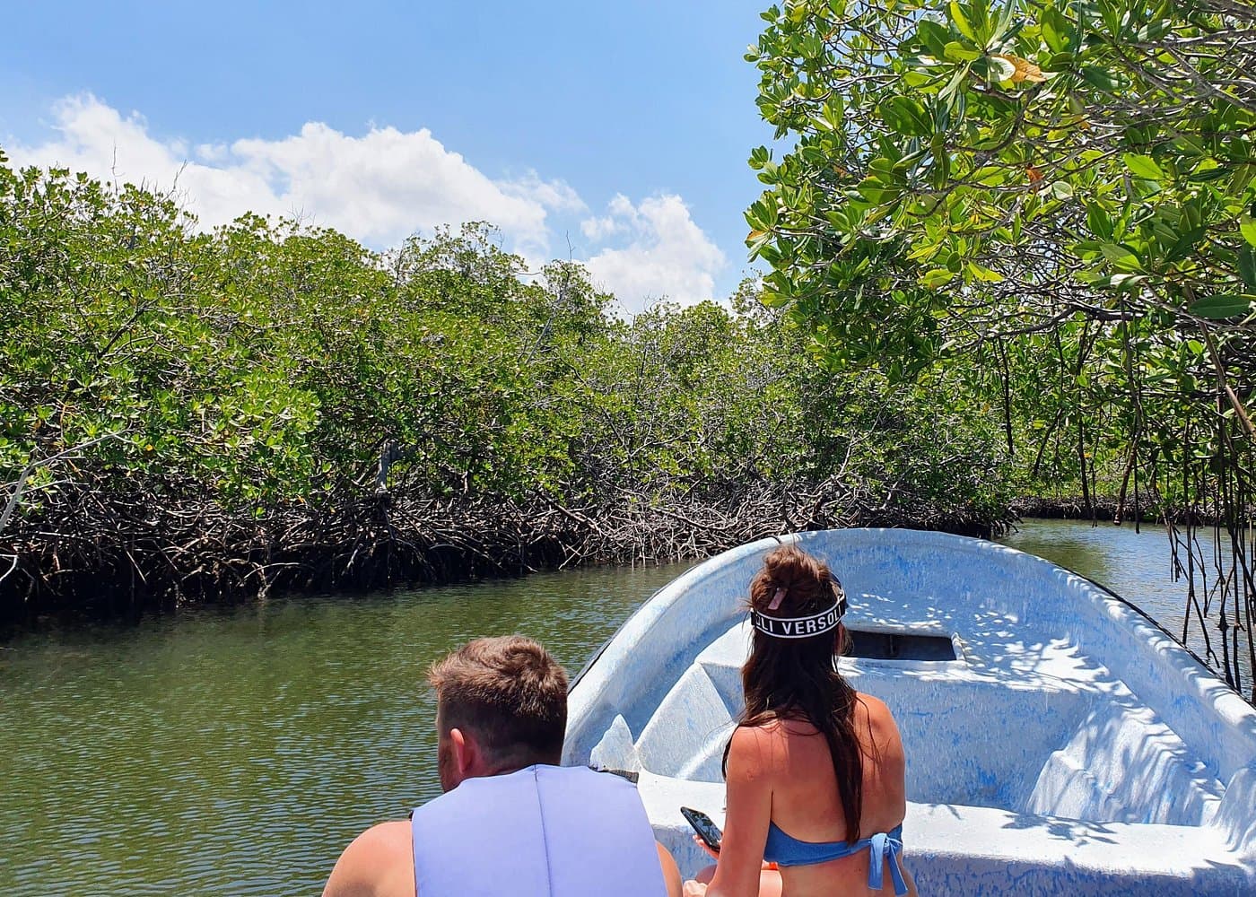 Private Tour to Paradise Island with Snorkel & Manatee Sanctuary - Photo 4 (Gallery view)