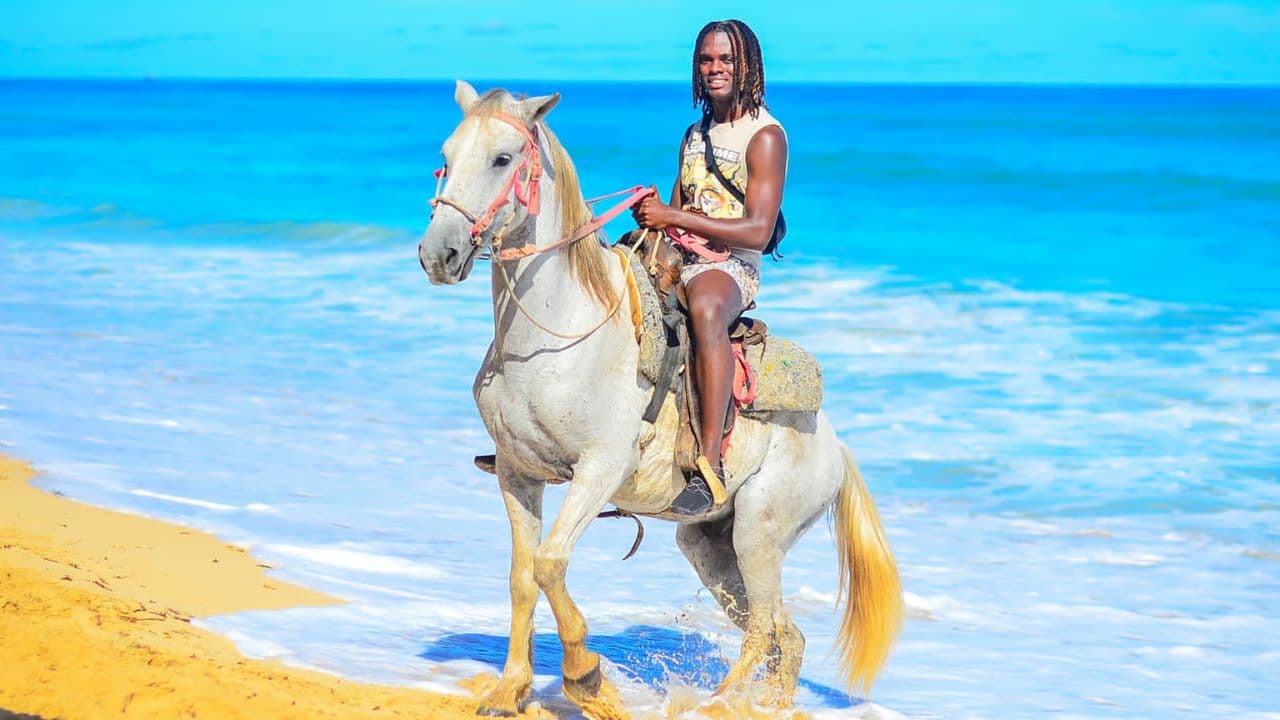 HORSEBACK RIDING BEACH MACAO PUNTA CANA WITH PICKUP HOTEL - Photo 2 (Gallery view)
