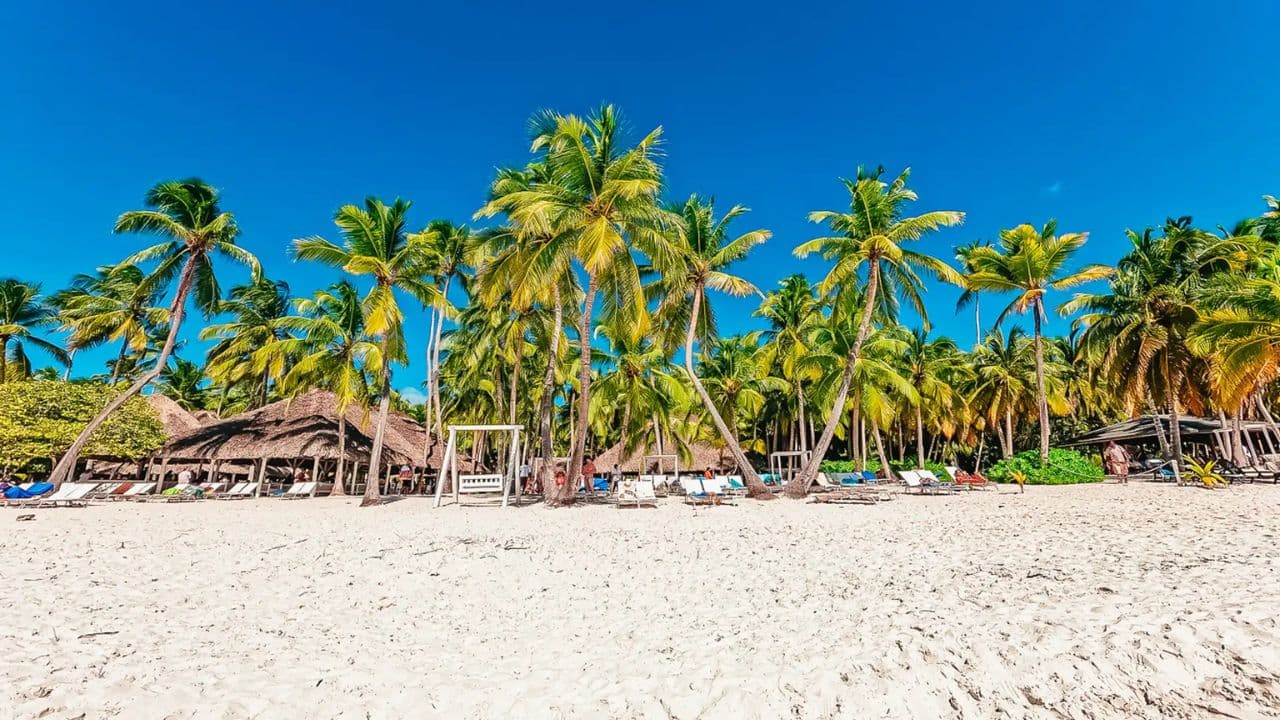 Saona Island Private: Speedboat Tour from Punta Cana - Photo 2 (Gallery view)