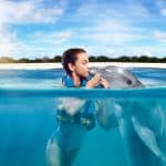 Punta Cana: Dolphin Discovery Swims and Encounters - Photo 2 (Gallery view)