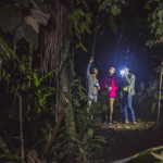 Los Haitises Night Hike In The Rainforest - Photo 2 (Gallery view)