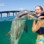 Swim with Dolphins in Punta Cana - Photo 2 (Gallery view)