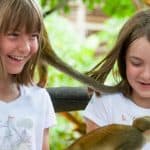 Samaná: Monkeyland and Open-Air Safari Truck Tour - Photo 4 (Gallery view)