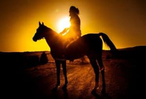 Punta Cana: Sunset Horseback Ride in Macao Beach and Forest - Dominican Republic