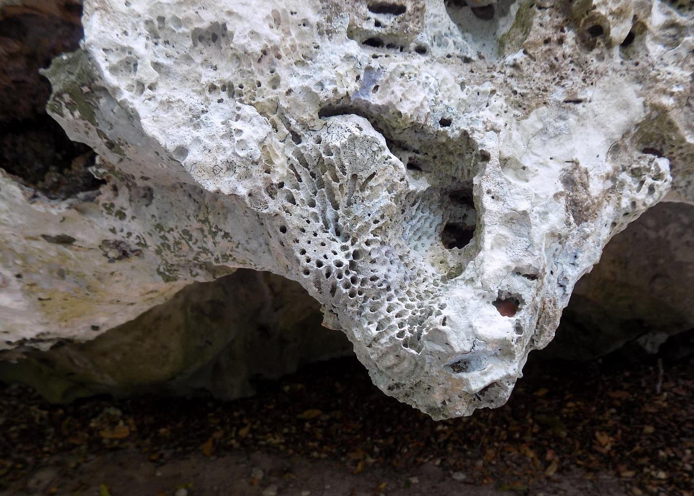Green Grotto Caves Excursion from Port Antonio - Photo 5 (Gallery view)