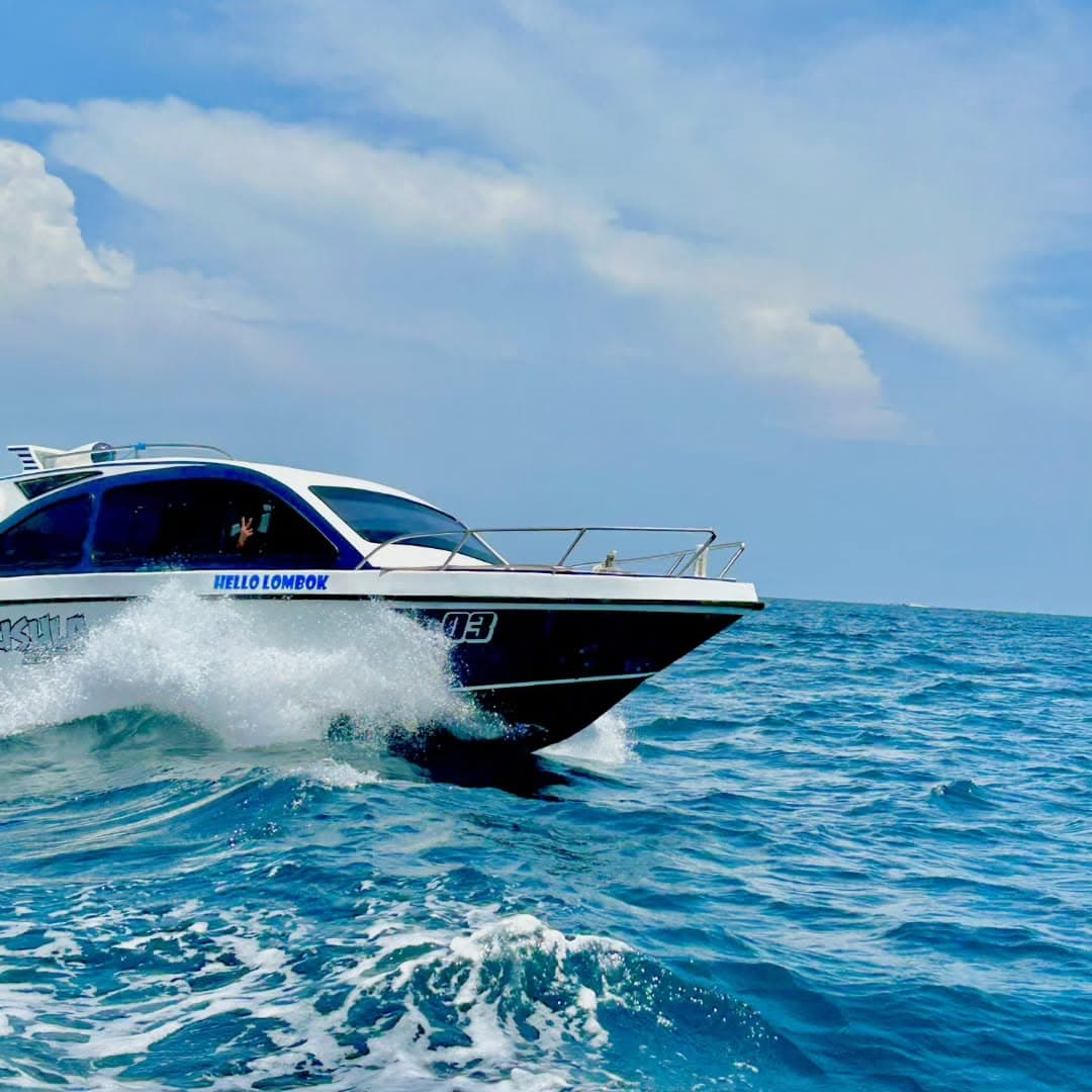 Los Haitises Mountain Bike + Private Boat Trip - Dominican Republic
