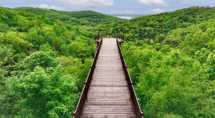 Branson: Top of Rock Ozarks Heritage Preserve - Photo 3 (Gallery view)