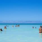 Saona Island Tour from Santo Domingo - Photo 4 (Gallery view)