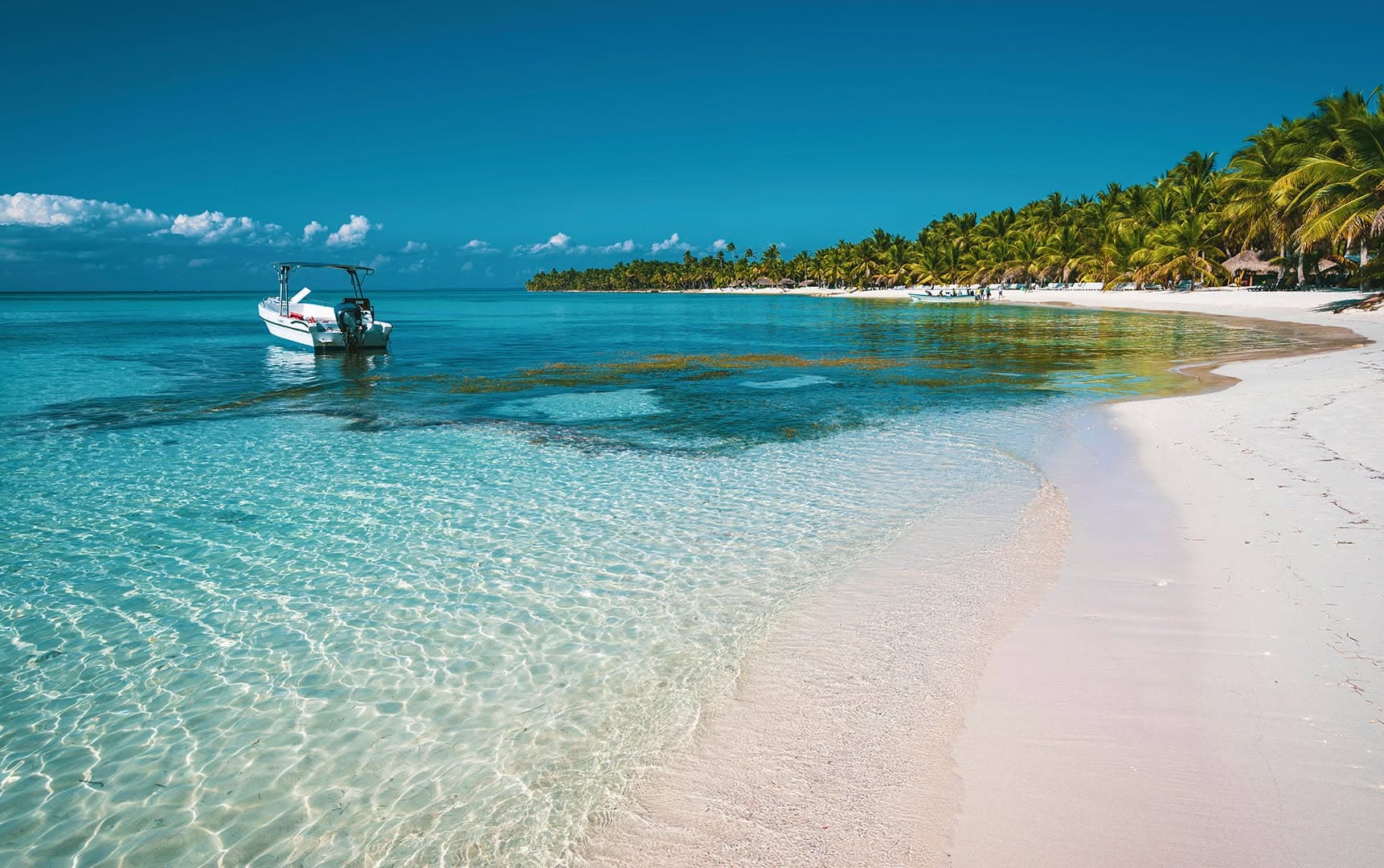 Samaná: Los Haitises National Park & Cayo Levantado Island - Photo 4 (Gallery view)