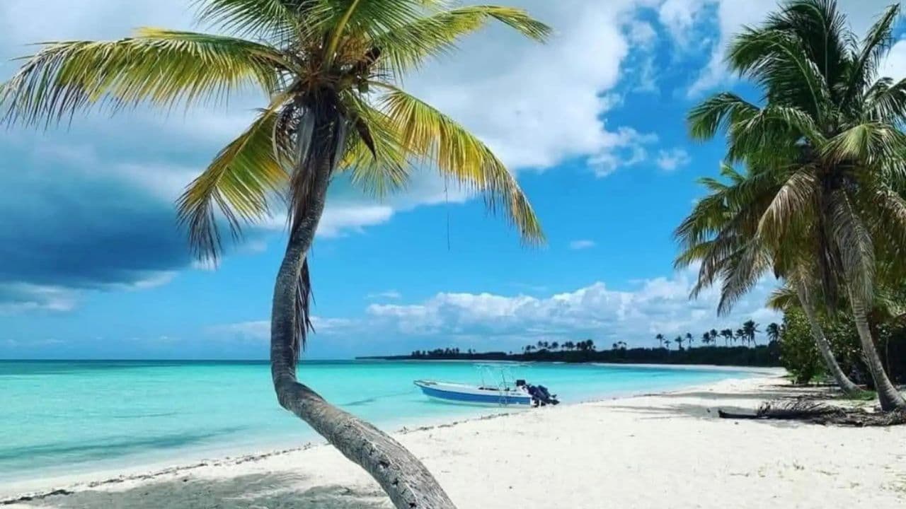 Excursion d'une journée tout compris sur l'île Saona au départ de Punta Cana - Photo 4 (Gallery view)