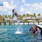 Punta Cana Dolphin Swim Adventure: 40-min Dolphin Experience - Dominican Republic