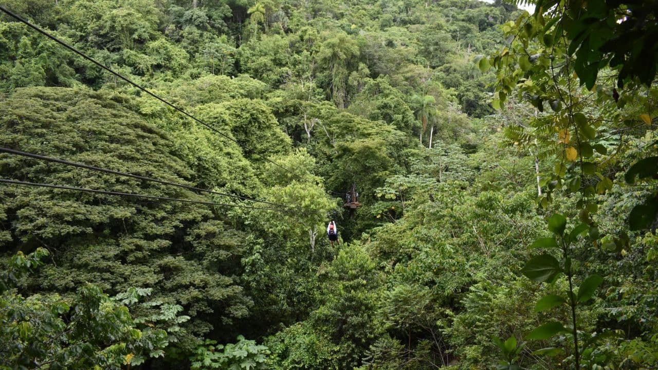 Puerto Plata: Waterfalls, Zip Line Adventure and Horse Ride - Dominican Republic