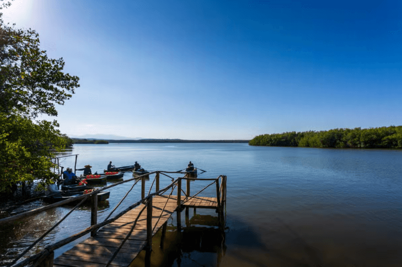 Guanaroca Lagoon Boat Tour - Photo 4 (Gallery view)