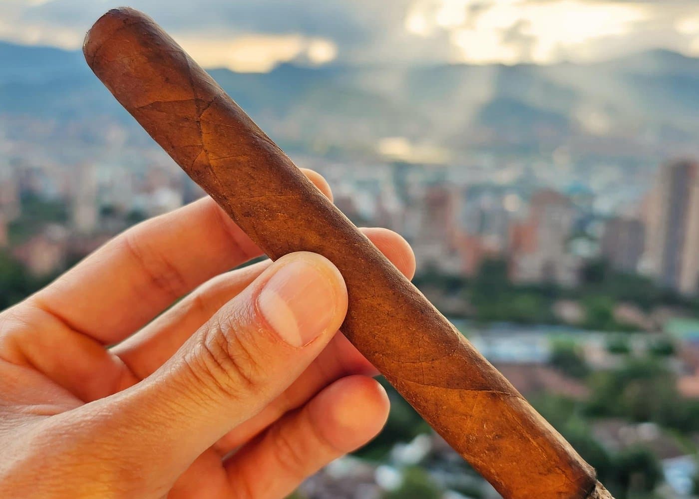 Private Cuban Tobacco, Rum and Coffee Tasting with City View - Photo 4 (Gallery view)