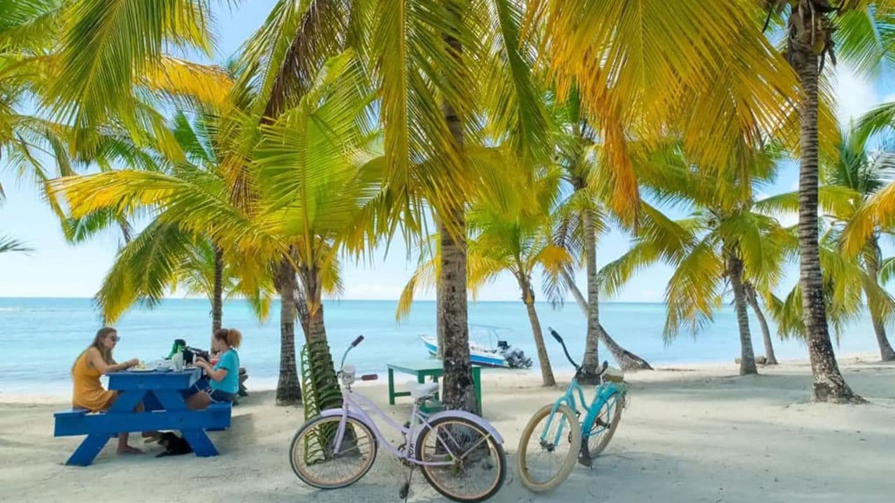 Explora la Experiencia: Tours de Punta Cana a Isla Saona - Photo 2 (Gallery view)