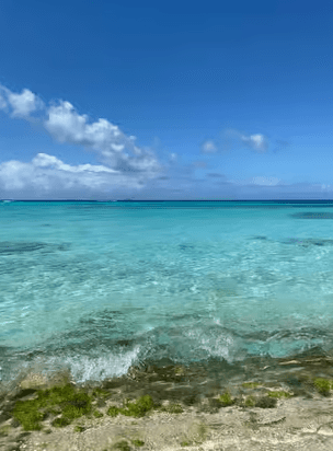 VIP na wyspie Saona: 4 plaże, Mano Juan i Canto de la Playa - Photo 3 (Gallery view)