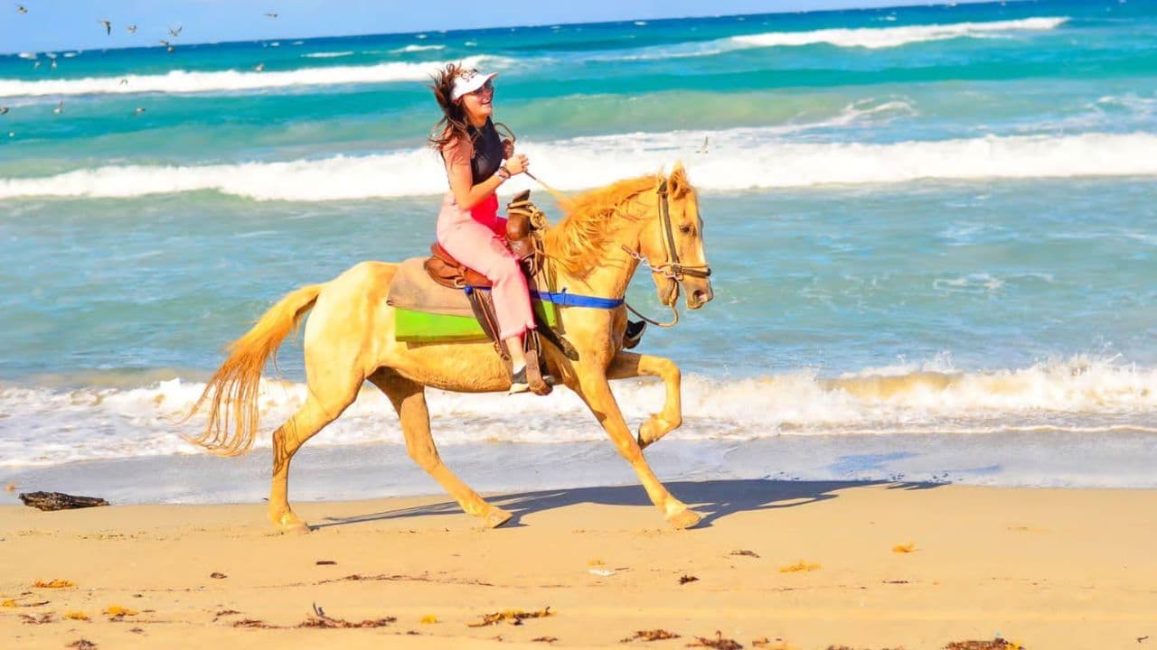 HORSEBACK RIDING BEACH MACAO PUNTA CANA WITH PICKUP HOTEL - Photo 4 (Gallery view)