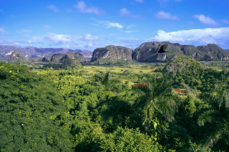 Viñales Valley Classic Car Tour - Photo 2 (Gallery view)