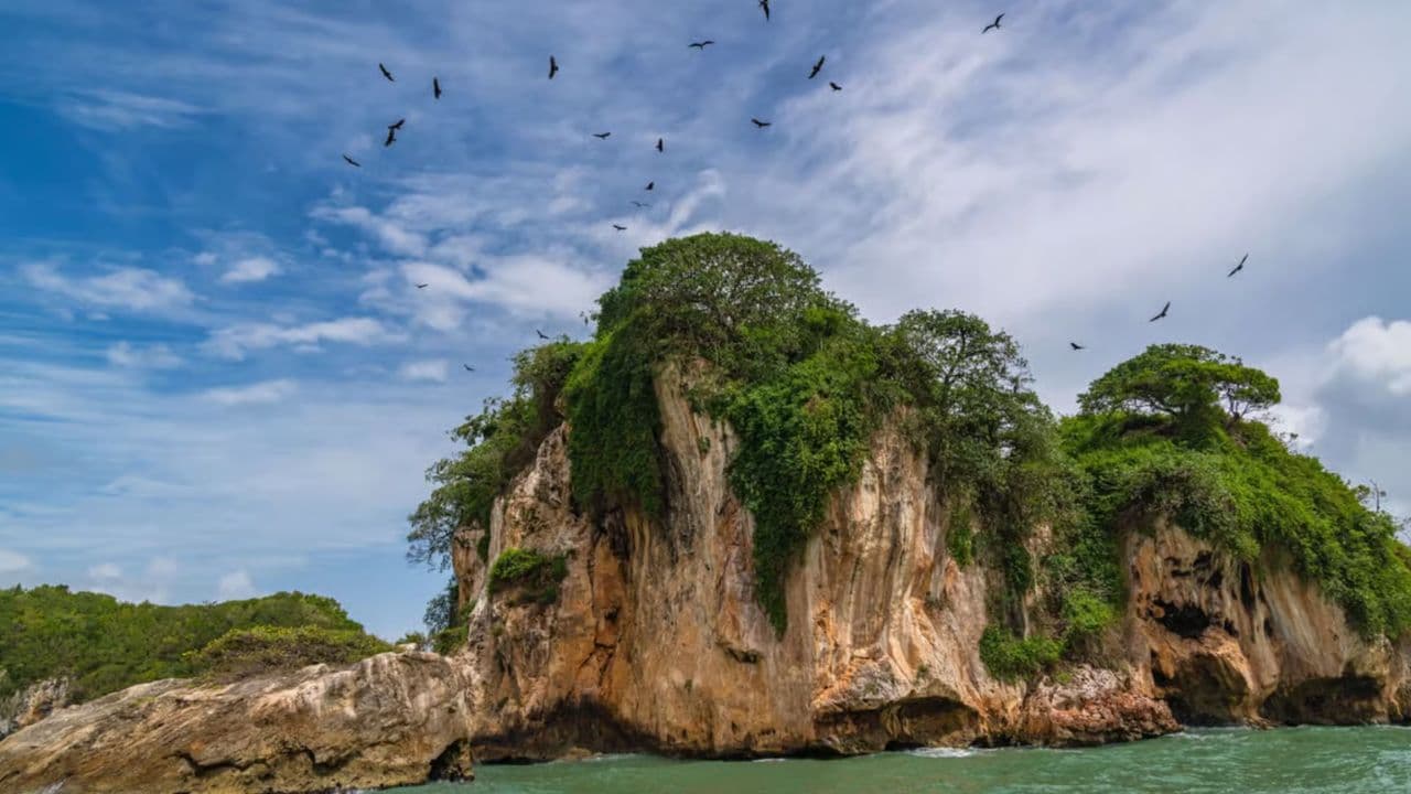 Discover Los Haitises National Park with Delicious Lunch - Photo 5 (Gallery view)