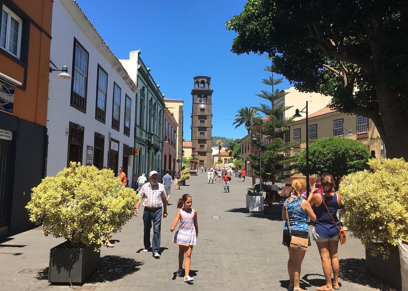 Full day tour visiting Santa Cruz, La Laguna and Anaga - Photo 4 (Gallery view)