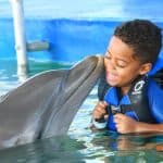 Dolphin Encounter for Dominican Residents - Photo 3 (Gallery view)