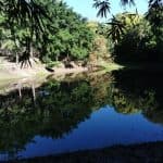 Puerto Plata: Taino Valley and Dominican Flavor Experience - Photo 5 (Gallery view)