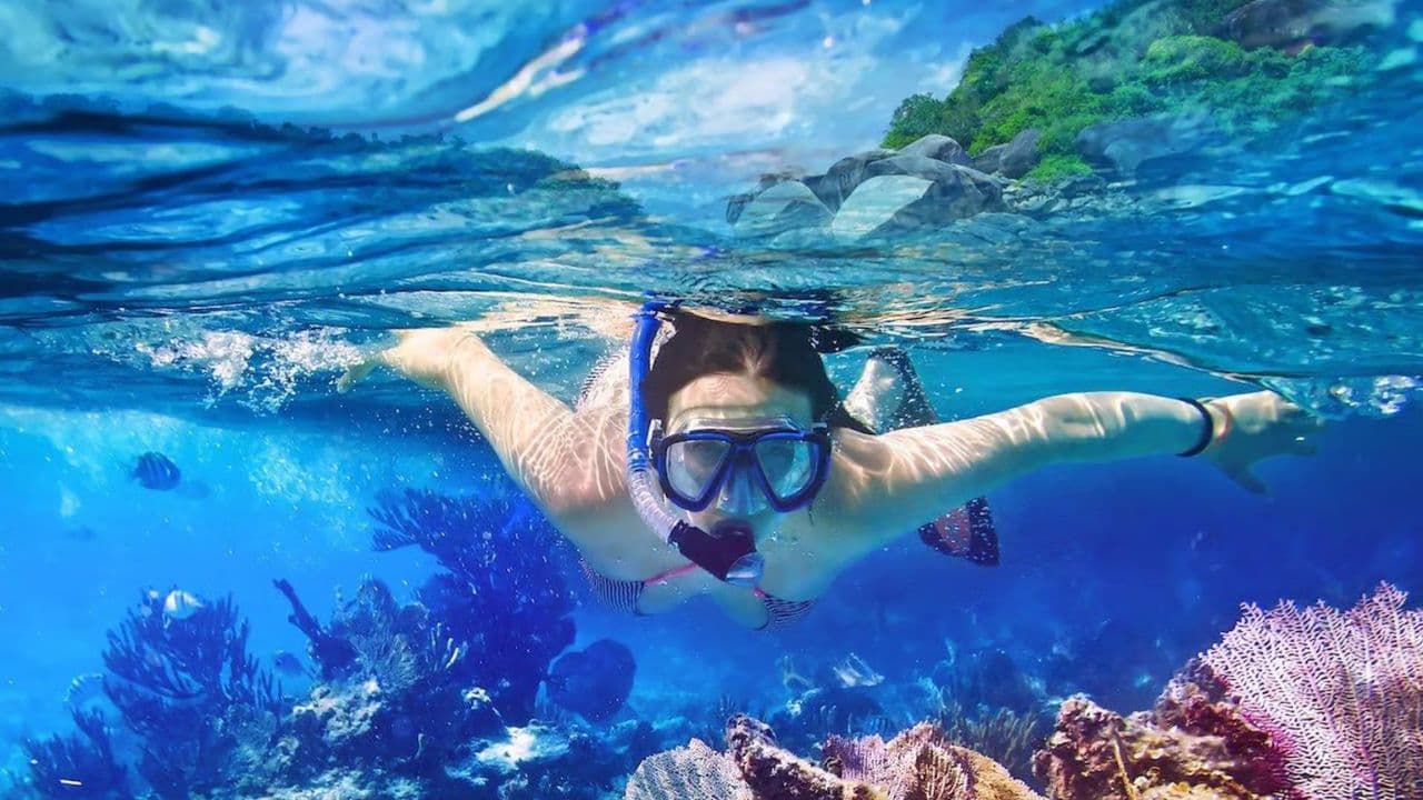 Punta Cana: Full-Day Snorkeling Tour to Catalina Island - Photo 3 (Gallery view)