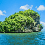 Los Haitises Boat Ride + Caño Hondo Natural Pools - Dominican Republic