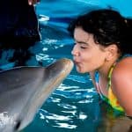 Incontro con i delfini all'Ocean World, Puerto Plata - Photo 5 (Gallery view)