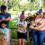 Punta Cana: Monkey Land Half-Day Safari and Plantation - Photo 3 (Gallery view)