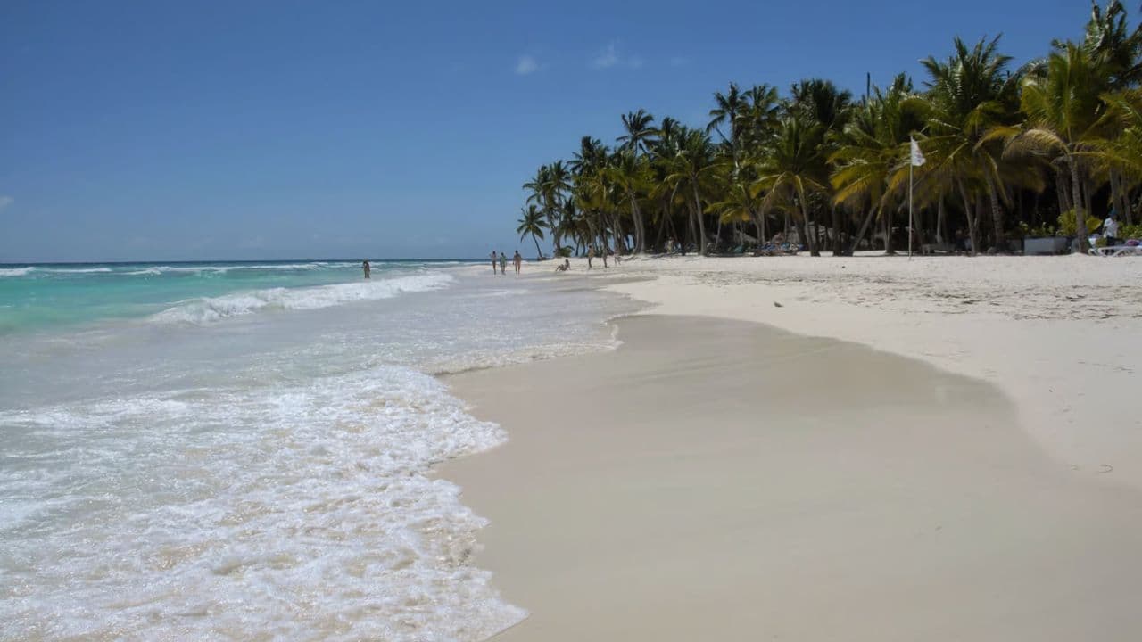 Private Transfer from Majestic Elegance to SDQ - Dominican Republic