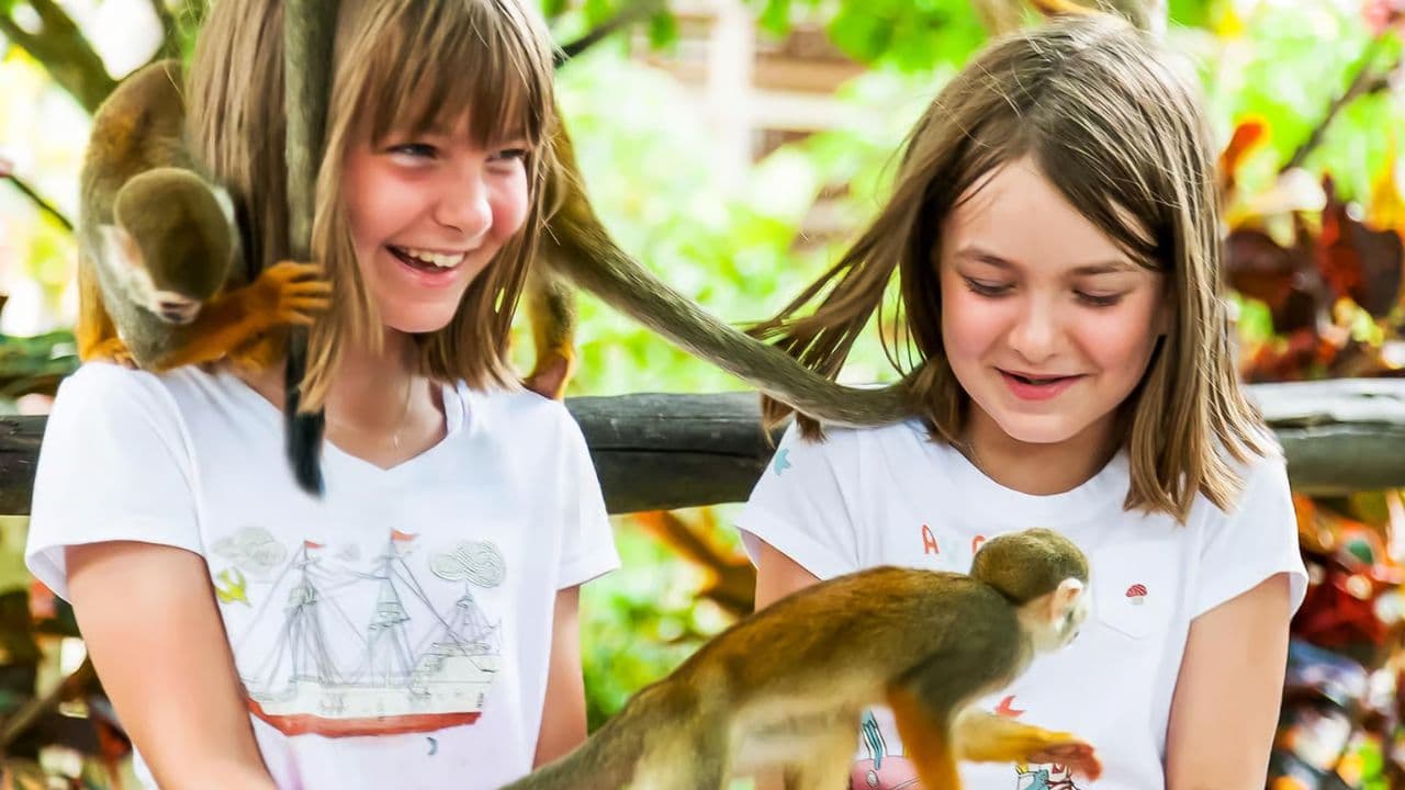 Punta Cana: tur Monkeyland și plantație - Photo 2 (Gallery view)