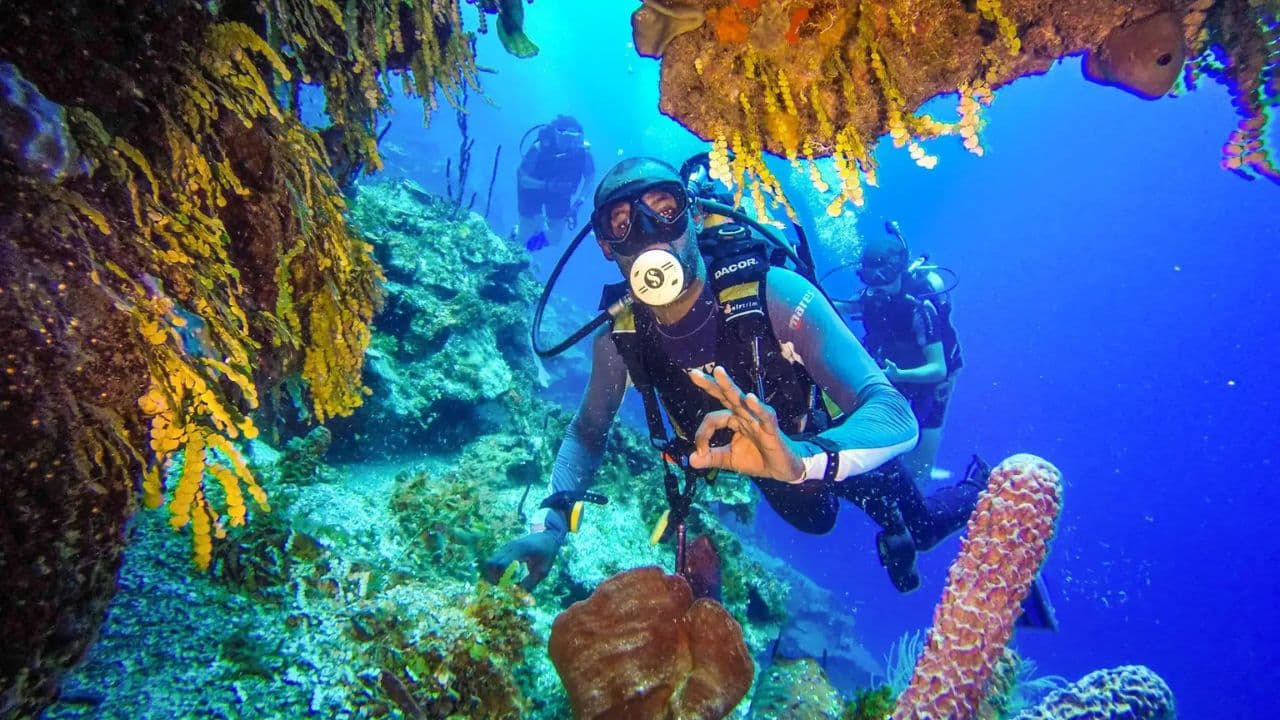 Punta Cana 40ft Recreational Diving Adventure - Photo 4 (Gallery view)