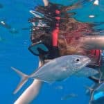 Sosua Sunset party boat And Snorkeling - Dominican Republic