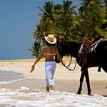 Punta Cana: Horseback Riding Through the Beautiful Beaches - Photo 5 (Gallery view)
