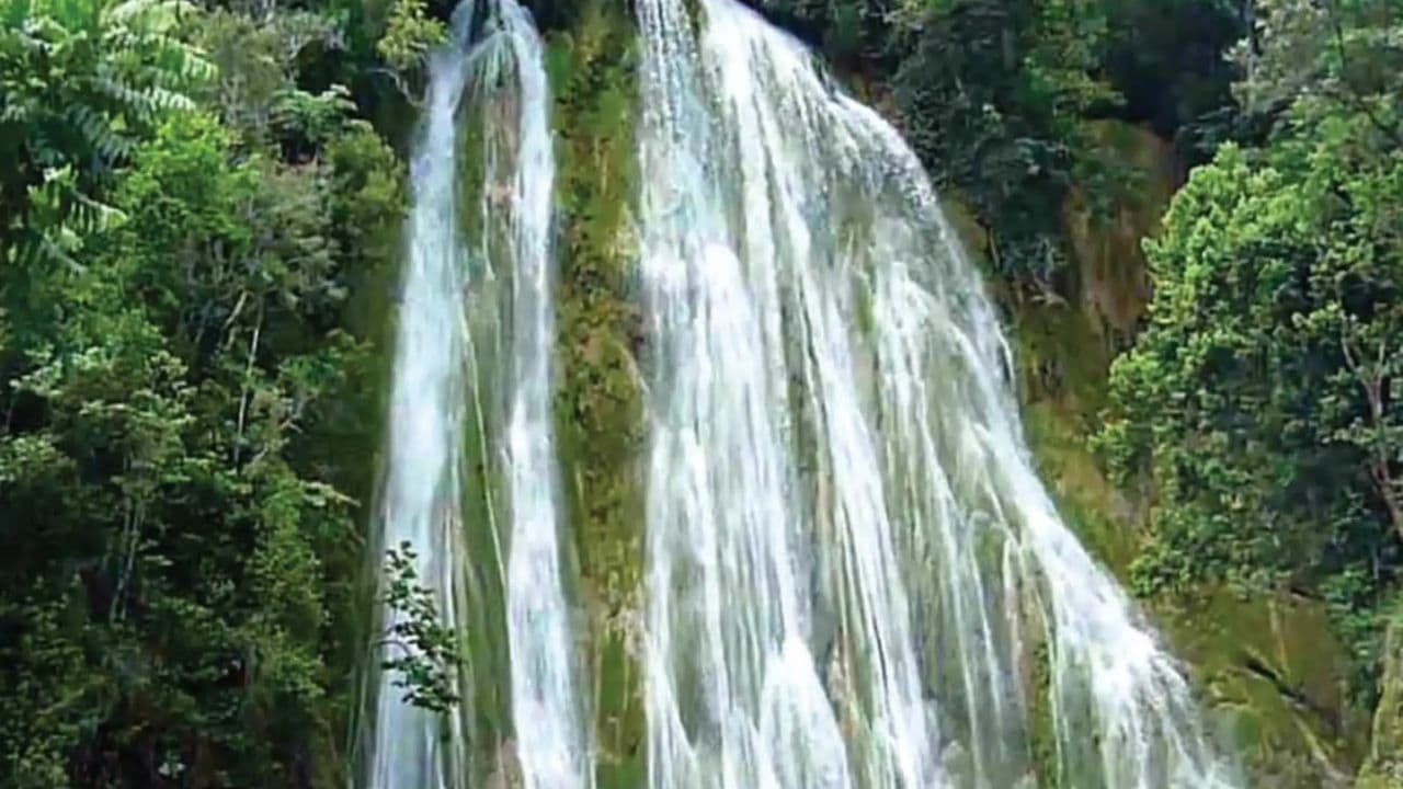 Punta Cana: Samana with Waterfall & Bacardi Island Day Trip - Photo 2 (Gallery view)