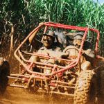 Bayahibe: Buggy turu muhteşem yarım gün - Photo 4 (Gallery view)