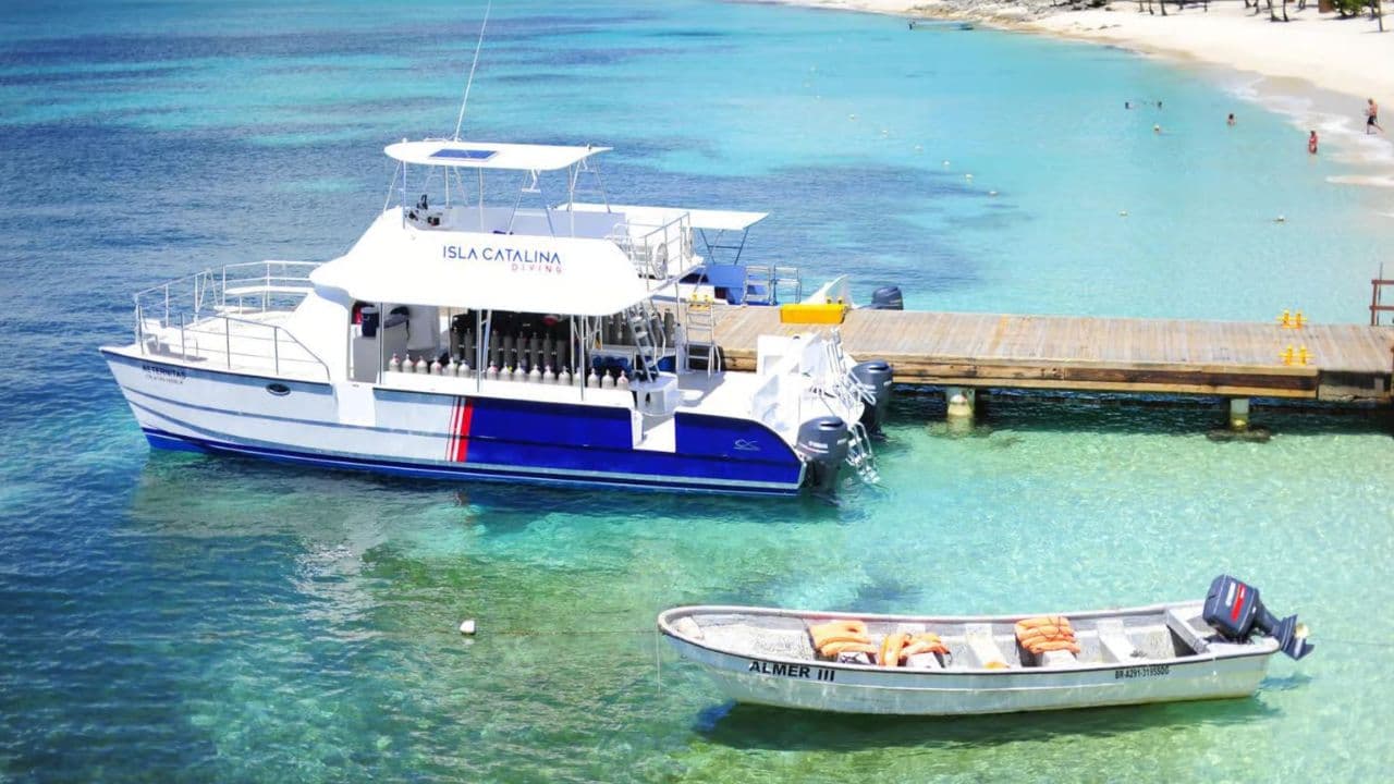 Punta Cana: Full-Day Snorkeling Tour to Catalina Island - Photo 4 (Gallery view)