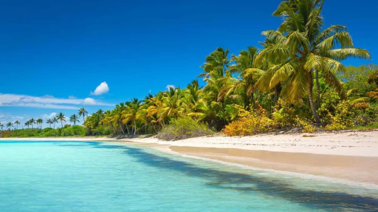 Full-Day Saona Island Tour by Speedboat - Dominican Republic